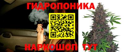 не бодяженный Новокубанск