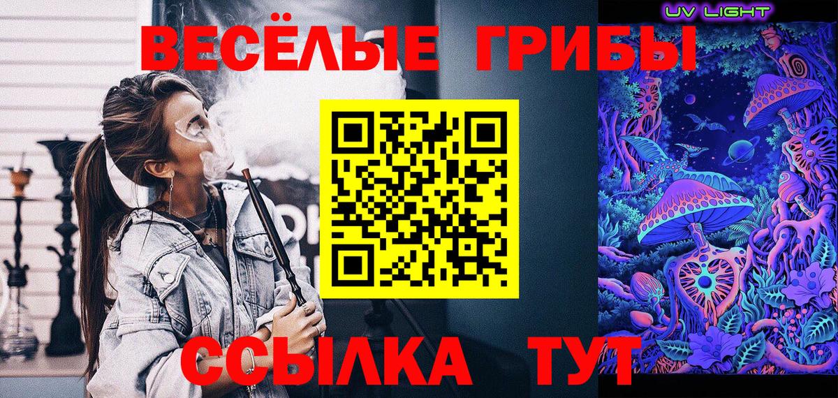 Псилоцибиновые грибы прущие грибы Сосновоборск